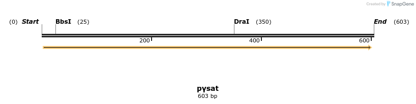 50626_map