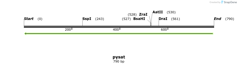 50627_map