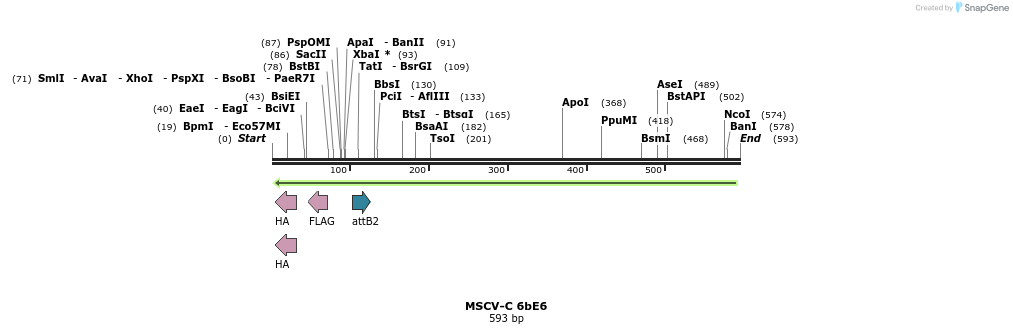 50629_map