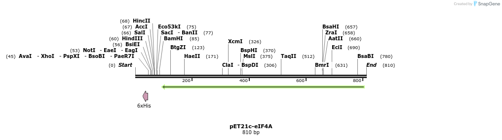 50640_map