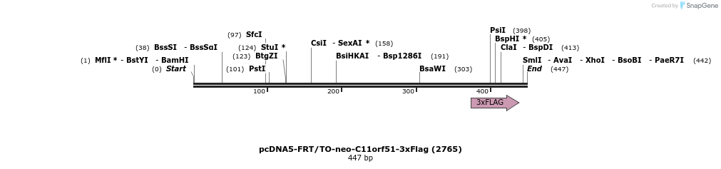 50642_map