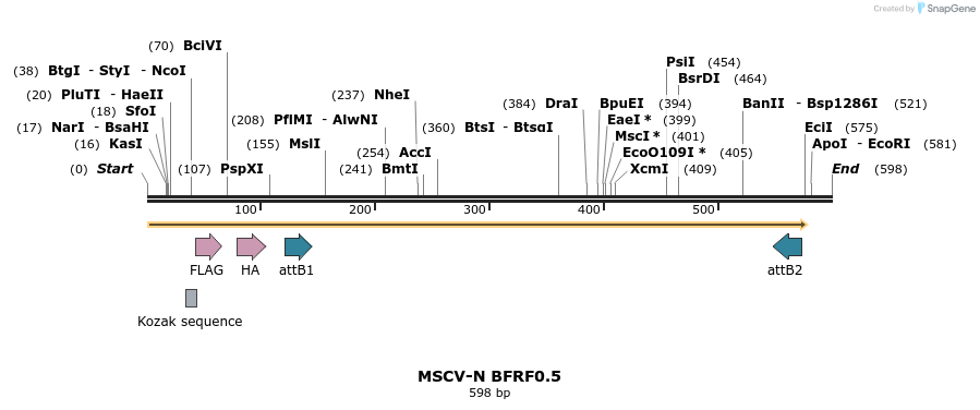 50652_map