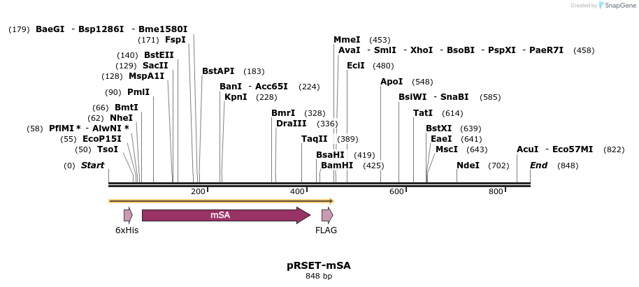 50655_map