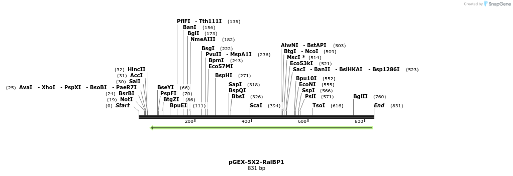 50658_map