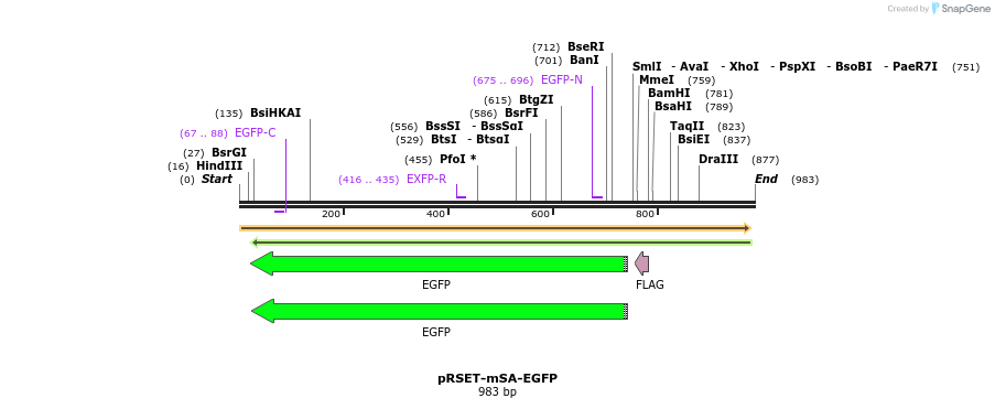 50660_map