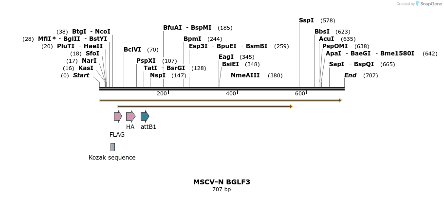 50661_map