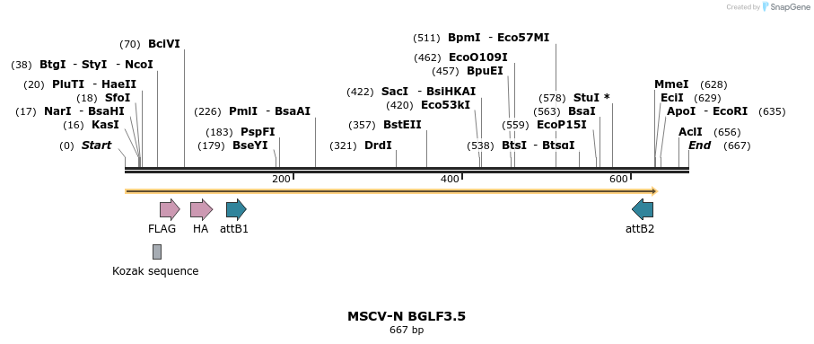 50662_map