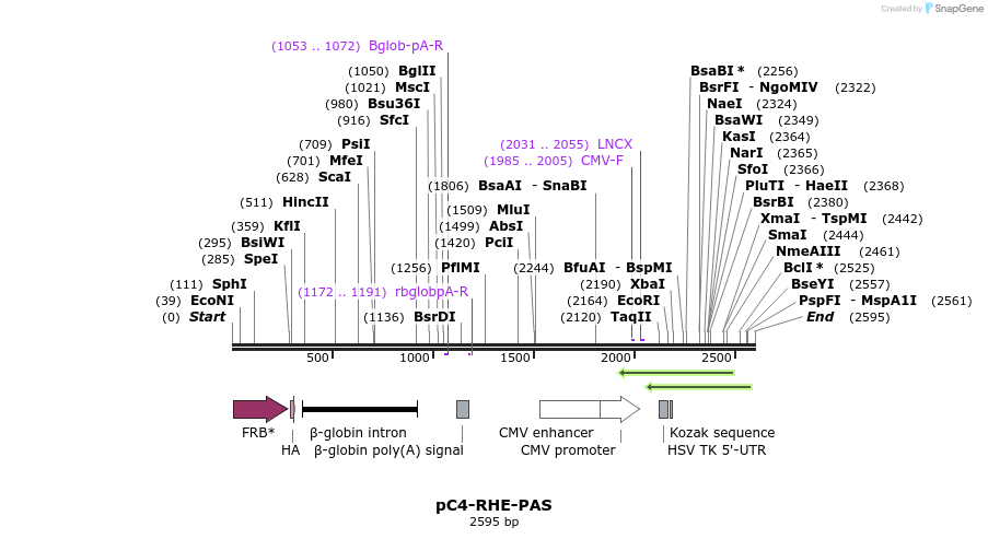 50663_map