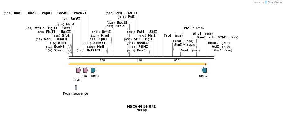 50669_map