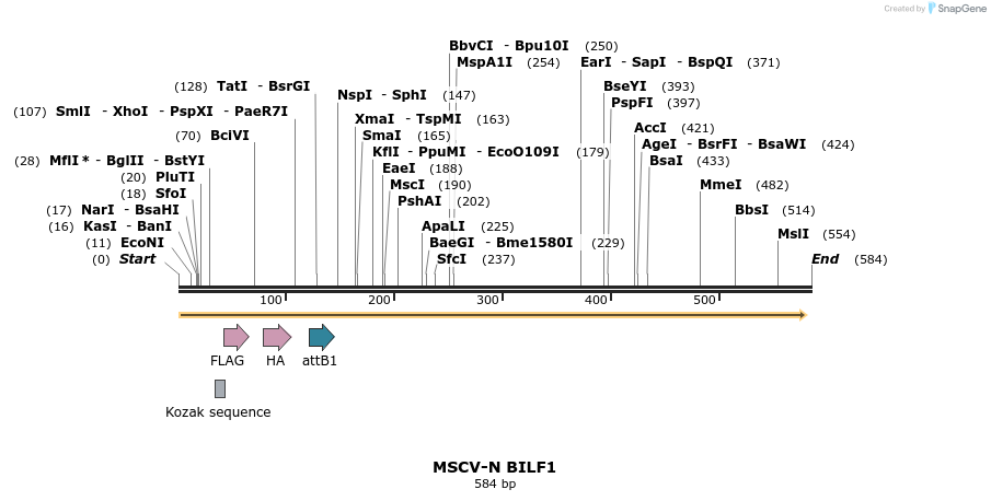 50670_map