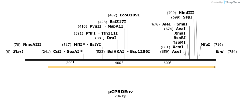 50671_map