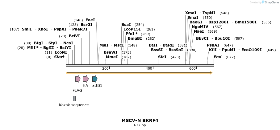 50672_map