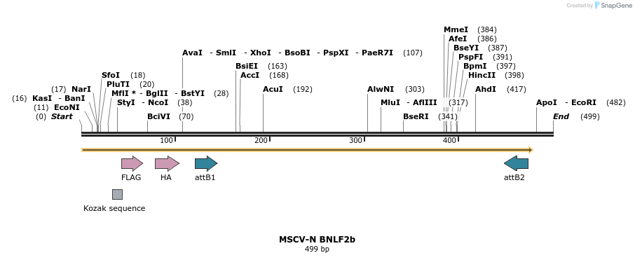 50676_map