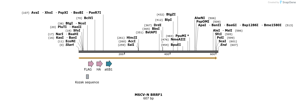 50677_map