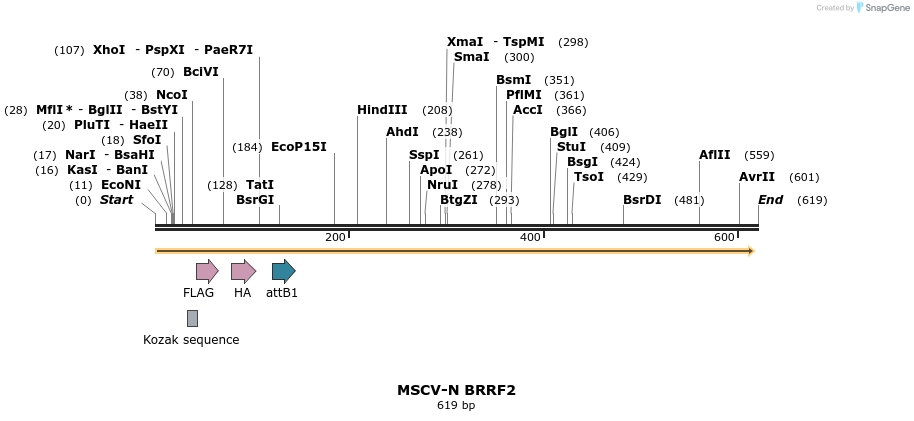 50678_map