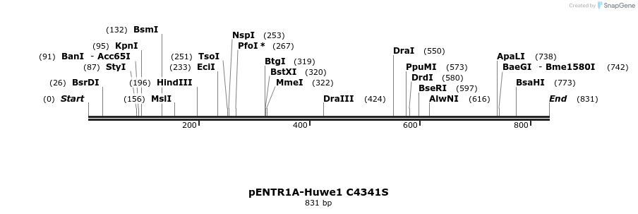 50682_map
