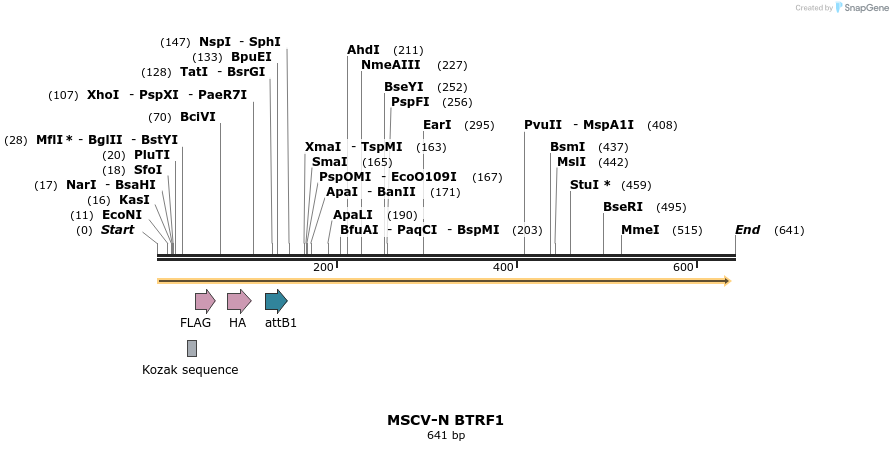 50684_map