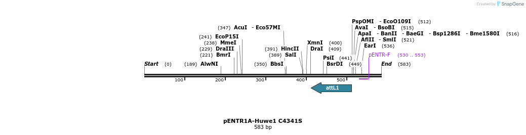 50687_map