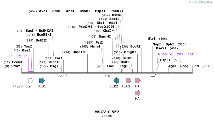50694_map