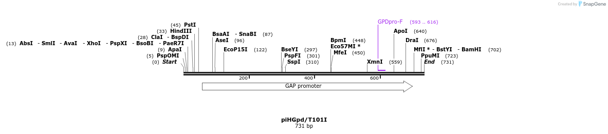 50697_map