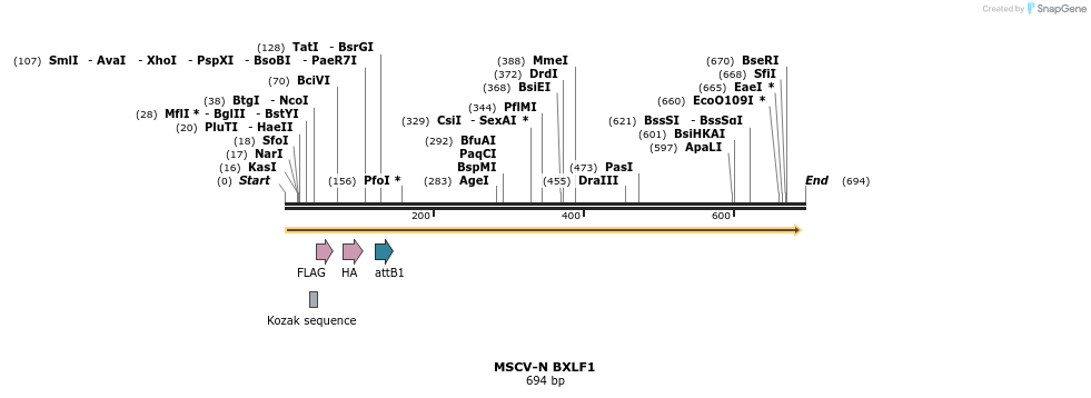 50701_map