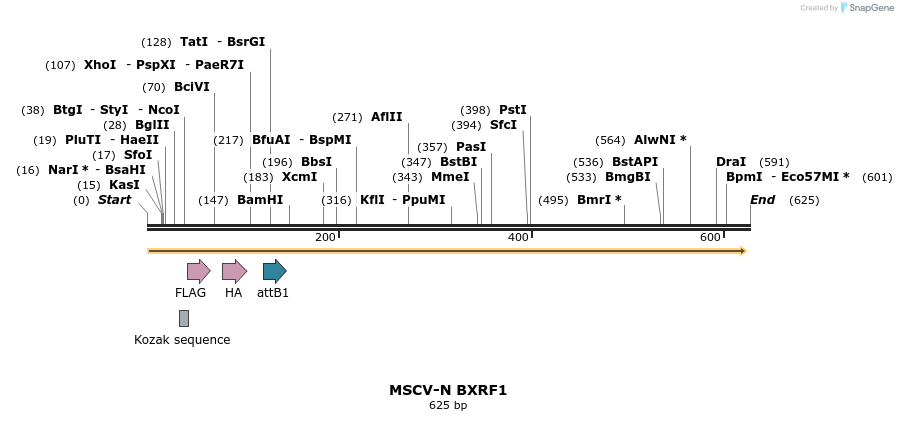 50703_map