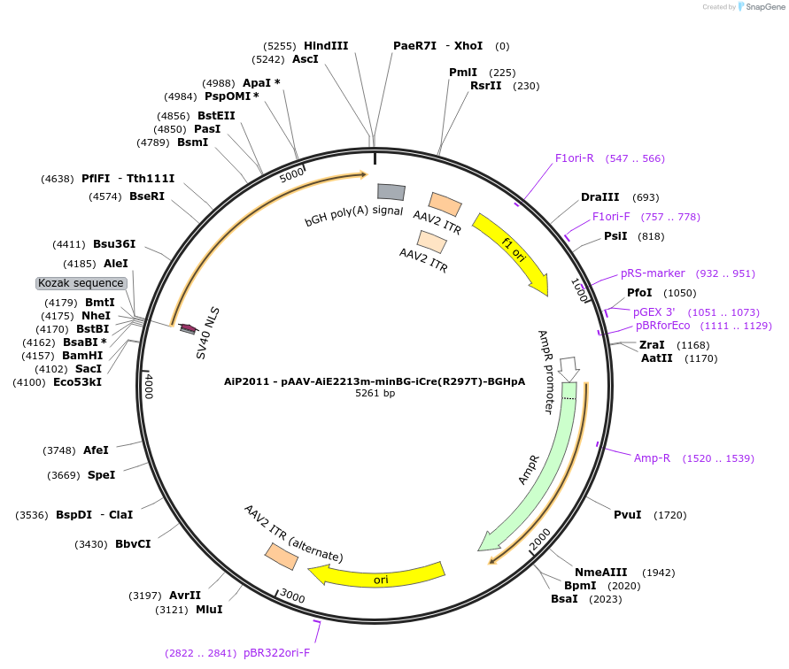 507032_map