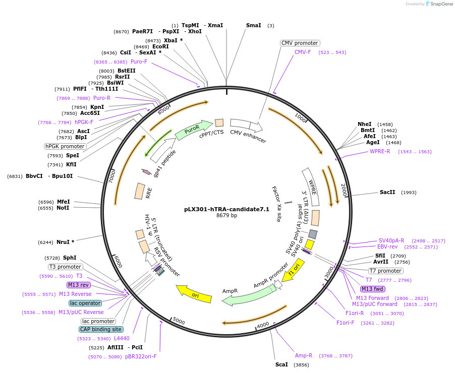 507081_map