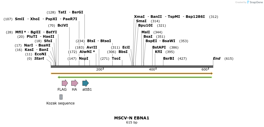 50709_map