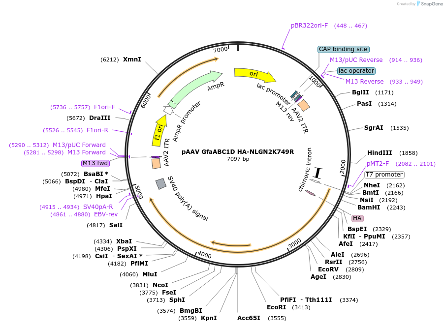 507138_map