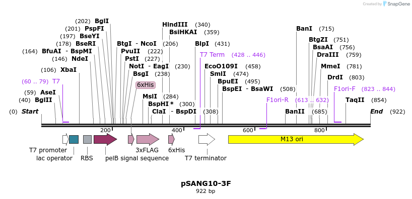 50714_map