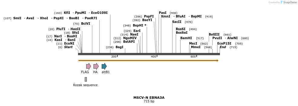 50721_map