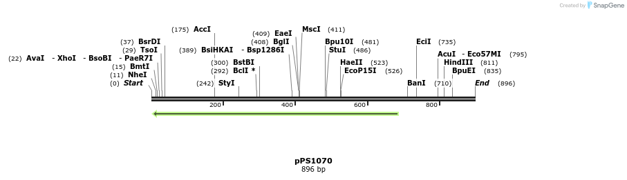 50724_map