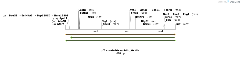 507241_map