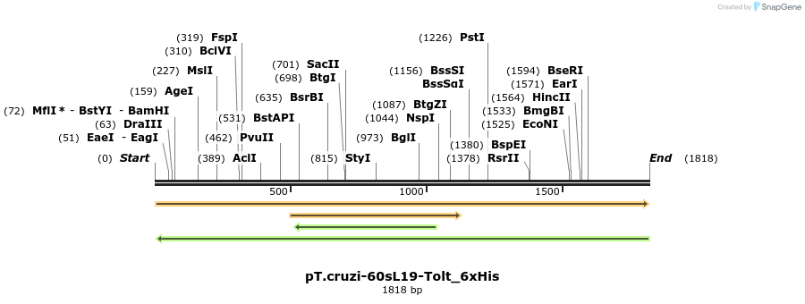 507243_map