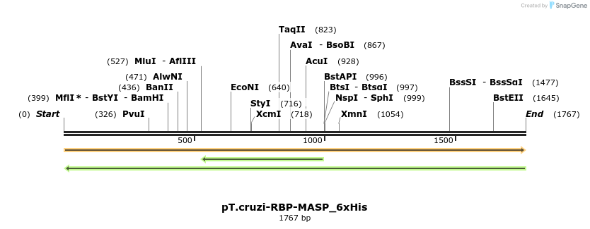 507245_map