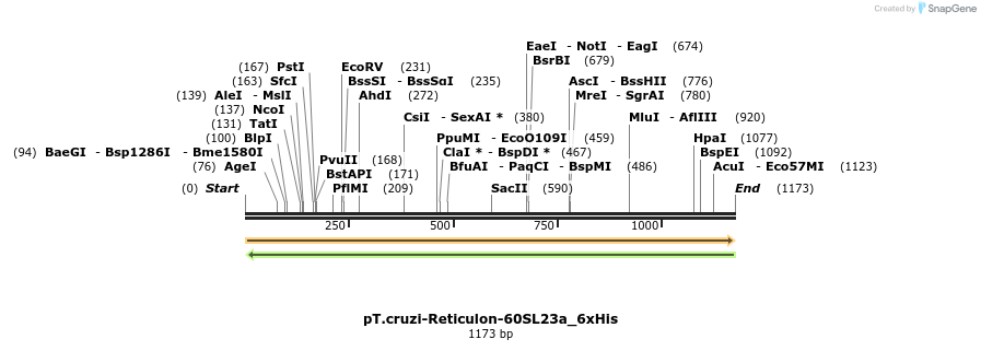 507247_map