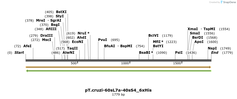 507249_map