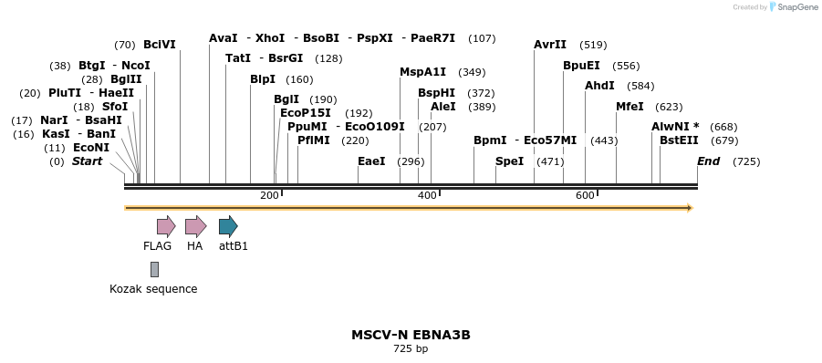 50725_map