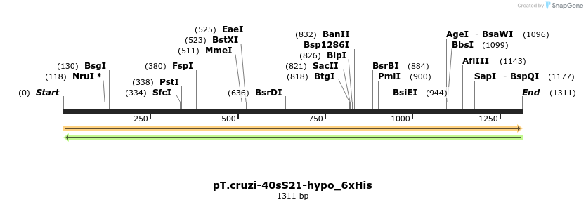 507251_map