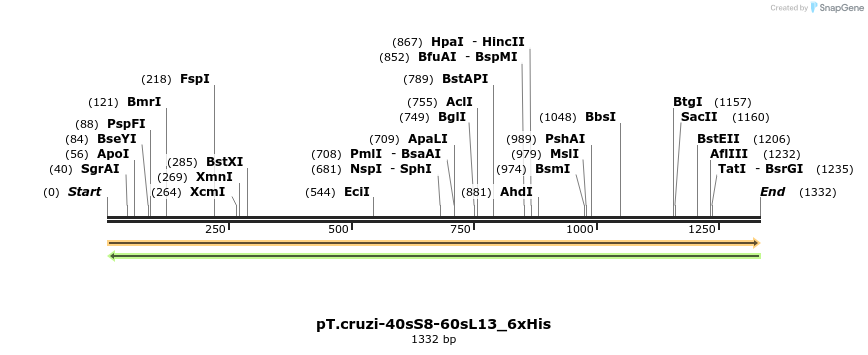 507253_map