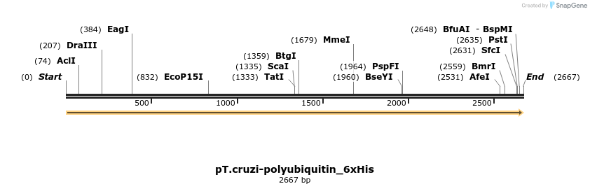 507255_map