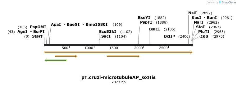 507258_map