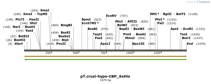 507260_map