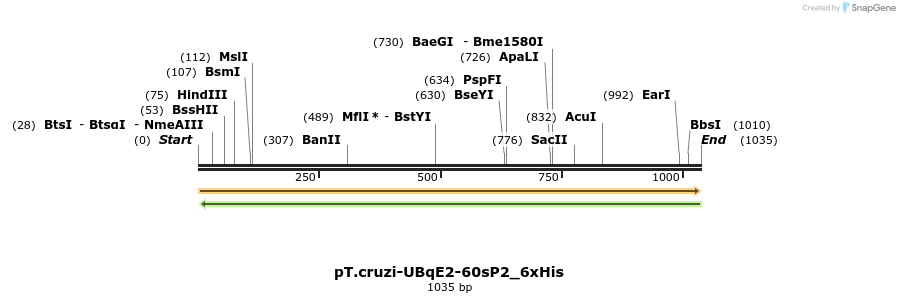 507262_map