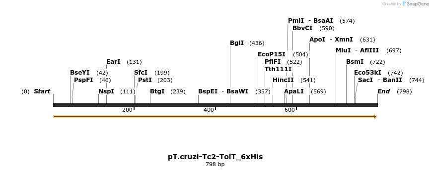 507264_map