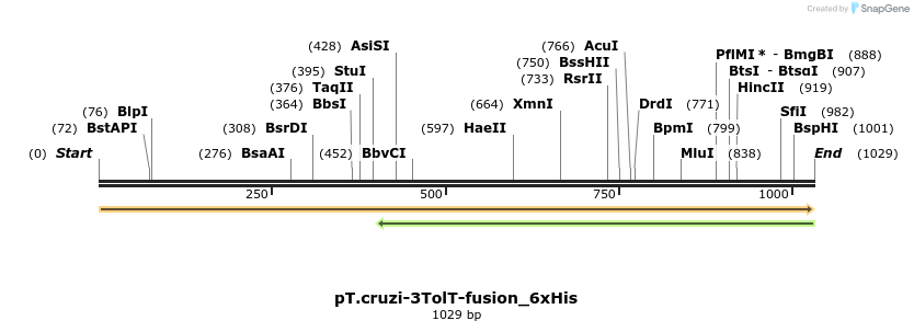 507266_map