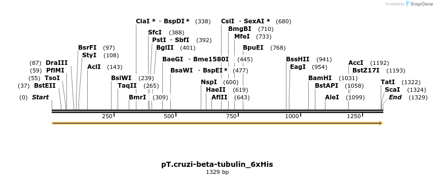 507268_map