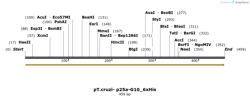 507272_map