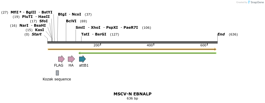 50730_map